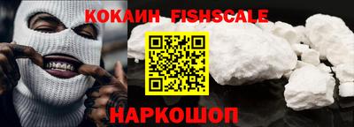 стаф Можга