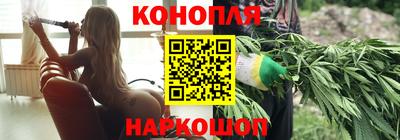 стаф Можга