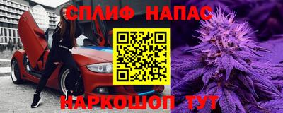 стафф Моздок