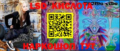 стафф Моздок