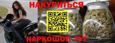 стаф Можга