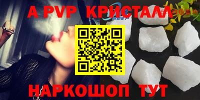 стаф Можга