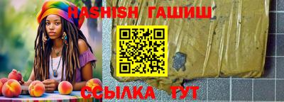 стаф Можга