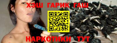 стаф Можга