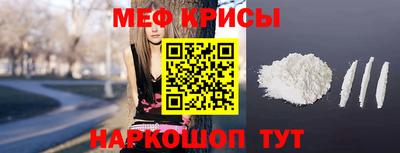 стаф Можга
