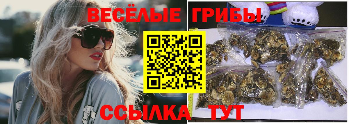Галлюциногенные грибы Psilocybe Гулькевичи