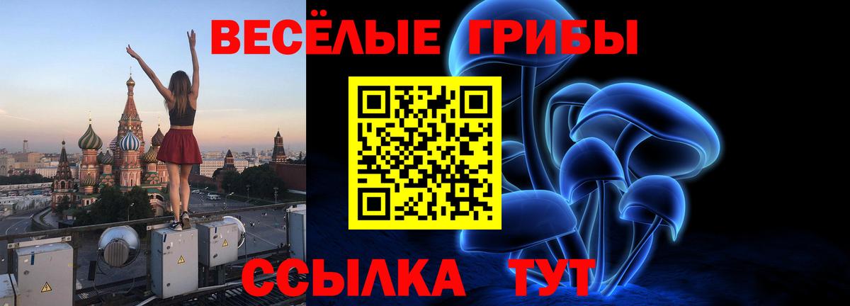 Гулькевичи  Псилоцибиновые грибы прущие грибы  Псилоцибиновые грибы Cubensis  что такое   Вход с VPN 